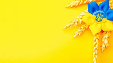 Sarı buğday kulaklı Ukrayna çiçek mızrağı sembolü. Sarı mavi afiş arkaplan, düz yatay, kopyalama alanı