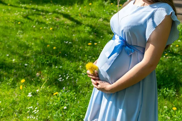 妊娠中の活動女性 妊娠中の歩行自然 夏の公園で幸せな妊産婦 腹が立つ 健康な妊娠 — ストック写真