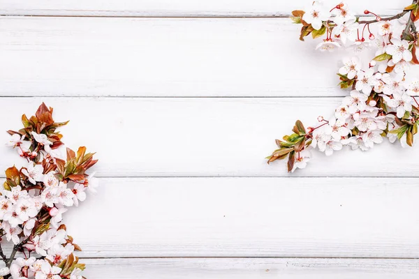 Bahar çiçekleri ve Nisan çiçekleri ahşap arka planda. Çiçek açan dallar. Paskalya ve bahar tebrik kartları için. İlkbahar