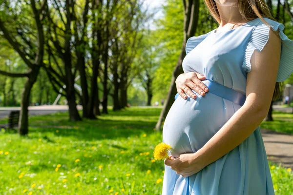 Μια Γυναίκα Που Περπατάει Κοιλίτσα Μου Έγκυος Περπατάει Στη Φύση — Φωτογραφία Αρχείου