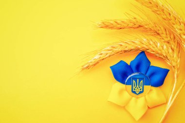 Mavi sarı arka plan. Sarı buğday kulaklı Ukrayna çiçek mızrağı sembolü. Ukrayna Konseptini Sev