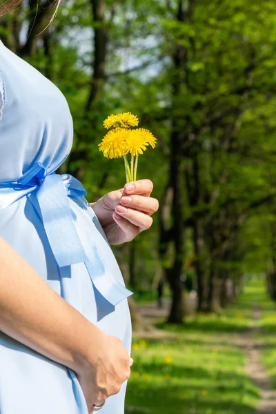 Εγκυμοσύνη Γυναίκα Έγκυος Περπατώντας Φύση Ευτυχισμένη Μητέρα Στο Καλοκαιρινό Πάρκο — Φωτογραφία Αρχείου