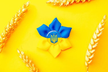 Sarı buğday kulaklı Ukrayna çiçek mızrağı sembolü. Sarı mavi afiş arkaplan, düz yatay, kopyalama alanı