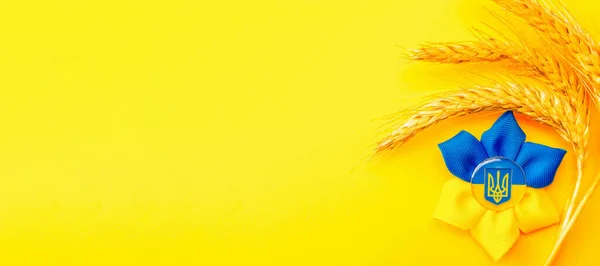 Ukraine Background Ukrainian Flower Trident Symbol Wheat Grain Ear Isolated — стоковое фото