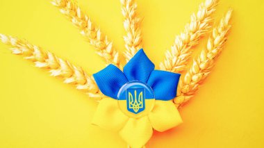 Ukrayna geçmişi. Sarı pankartta izole edilmiş buğday tanecikli Ukrayna çiçek mızrağı sembolü. Düz yat, boşluğu kopyala