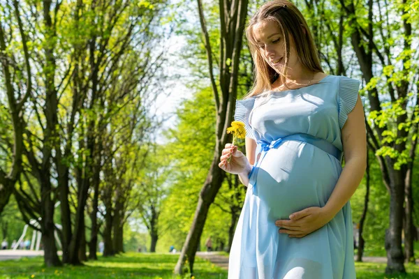 怀孕的女人走路 怀孕的自然会走路 夏天公园里的母亲快乐 小腹怀孕活动 — 图库照片