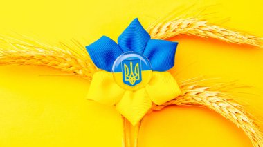 Ukrayna bayrak sembolü arka plan. Sarı pankartta izole edilmiş buğday tanecikli Ukrayna çiçek mızrağı sembolü. Ukrayna kavramını destekle
