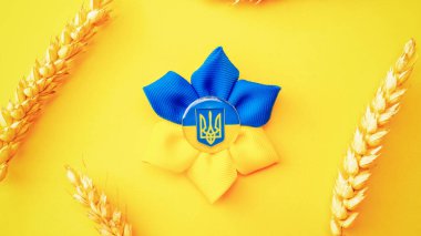 Mavi sarı arka plan. Sarı buğday kulaklı Ukrayna çiçek mızrağı sembolü. Ukrayna Konseptini Sev
