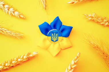 Mavi sarı arka plan. Sarı buğday kulaklı Ukrayna çiçek mızrağı sembolü. Ukrayna Konseptini Sev