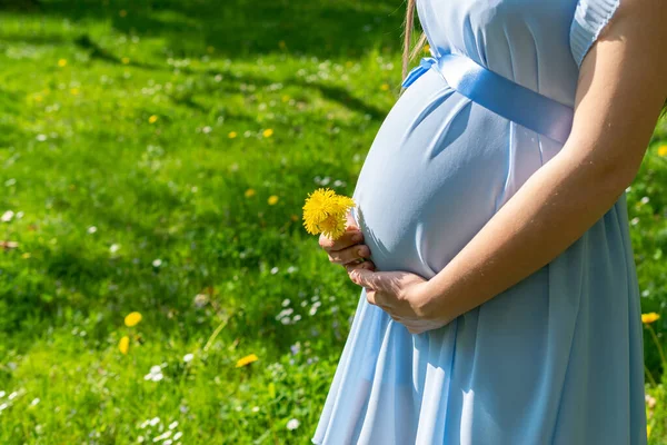 Těhotenská Aktivita Těhotná Chůze Příroda Šťastná Matka Letním Parku Dětské — Stock fotografie