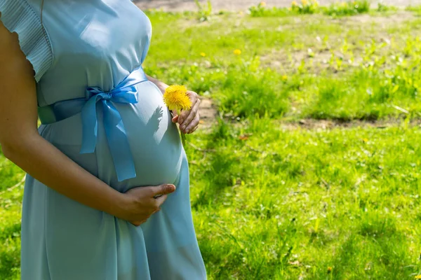 Hamilelik aktivite kadını. Yürüyen hamile doğası. Yaz parkında mutlu annelik anneleri. Bebek göbeği. Sağlıklı Hamilelik
