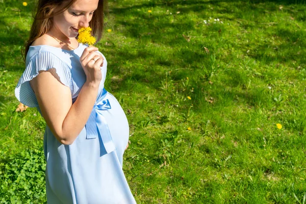 Беременная Женщина Беременная Ходячая Природа Счастливой Матери Летнем Парке Детский — стоковое фото