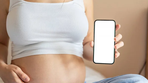 Pregnancy Mockup Smartphone Pregnant Woman Holding Smartphone Mobile Pregnancy Online — Stock Photo, Image