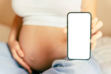 Hamilelik akıllı telefon ekranı. Elinde akıllı telefon tutan hamile kadın maket yapıyor. Taşınabilir hamilelik çevrimiçi annelik başvurusu. Hamilelik kavramı, annelik, bebek doğumu beklentisi