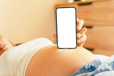 Hamilelik cihazı modelleri. Taşınabilir hamilelik çevrimiçi annelik başvurusu. Hamile anne telefon modeli kullanıyor. Hamilelik, ilaç, eczacılık, sağlık ve insan konsepti