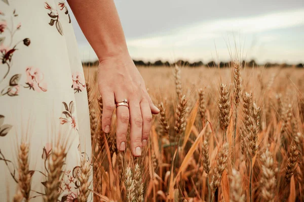 Wheat Sprouts Field Young Woman Cereal Field Touching Ripe Wheat — Stock Photo, Image