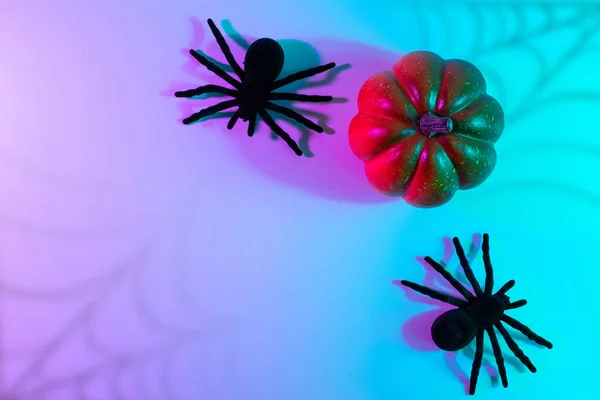 Halloween Party Black Night Spider Scary Spooky Pumpkin Night Neon — Stockfoto