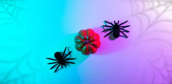 Halloween party. Black night spider, scary spooky pumpkin on night neon helloween background. Happy Halloween concept. Frame. Copy space, Flat lay