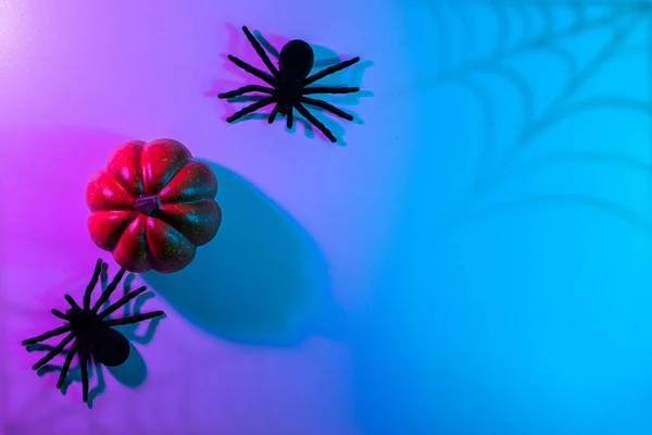 Halloween Party Black Night Spider Scary Spooky Pumpkin Night Neon — ストック写真