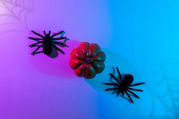 Halloween Design Black Night Spider Scary Spooky Pumpkin Night Neon — 图库照片