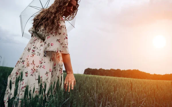 Wheat Field Hand Woman Young Woman Hand Touching Spikelets Cereal — Stock Photo, Image