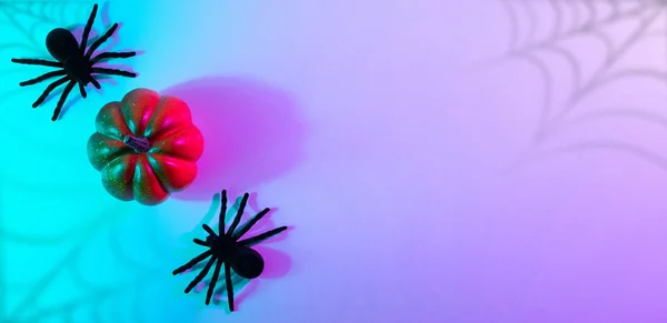 ハロウィンの飾りだ 怖い不気味なカボチャ 夜のネオンハロウィンの背景に黒い夜のクモ 秋の休日のための最小限の背景 テキストのスペース — ストック写真