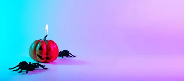 Halloween Pók Ijesztő Kísérteties Tök Fekete Éjszakai Pók Éjszaka Neon — Stock Fotó