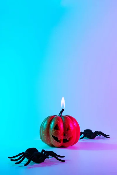 Хэллоуинский Паук Страшная Жуткая Тыква Чёрный Ночной Паук Ночном Неоновом — стоковое фото