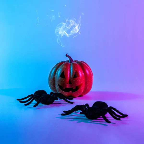 Halloween spider. Scary spooky pumpkin, black night spider on night neon helloween background. Happy Halloween concept. Frame. Copy space