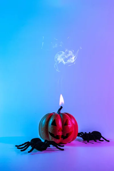 Halloween spider. Scary spooky pumpkin, black night spider on night neon helloween background. Happy Halloween concept. Frame. Copy space