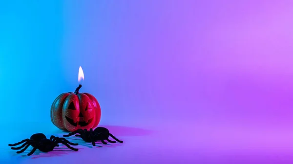 Halloween spider. Scary spooky pumpkin, black night spider on night neon helloween background. Happy Halloween concept. Frame. Copy space