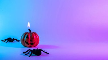 Halloween pumpkin. Black night spider, scary spooky pumpkin on night neon helloween background. Minimalistic background for autumn holidays. Space for text
