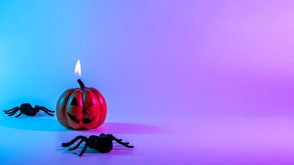 Halloween Pumpkin Black Night Spider Scary Spooky Pumpkin Night Neon — 图库照片