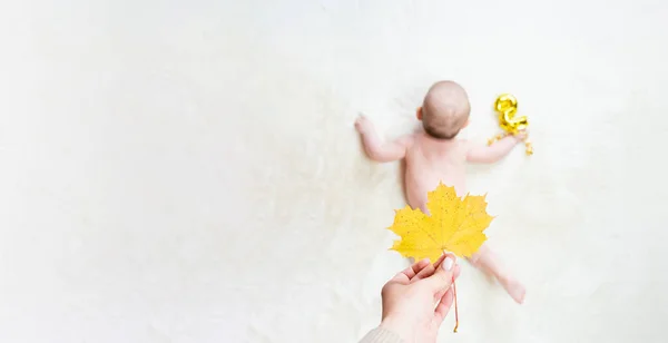 Baby Lying Child Banner Mother Hand Holding Yellow Leaf Happy — Stock Photo, Image