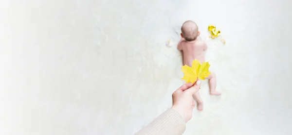 Baby Newborn Child Banner Mother Hand Holding Yellow Leaf Happy — Stock Photo, Image