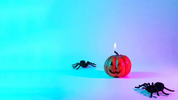 Halloween Pumpkin Black Night Spider Scary Spooky Pumpkin Night Neon — 图库照片