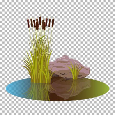 Sonbahar renklerinde ve havasında çalılıklarıyla gölde taşıyıcı kuyruklar ve suyu kapatan taşlarla birlikte. Çekici Reeds sert ve taş bir yana, göl suyuna yansıyan sonbahar manzarası. Şeffaf arkaplanda izole