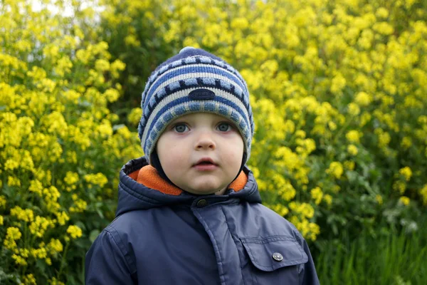 Séta a nemi erőszak, a gyermek — Stock Fotó