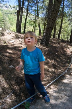 çocuk ormanda