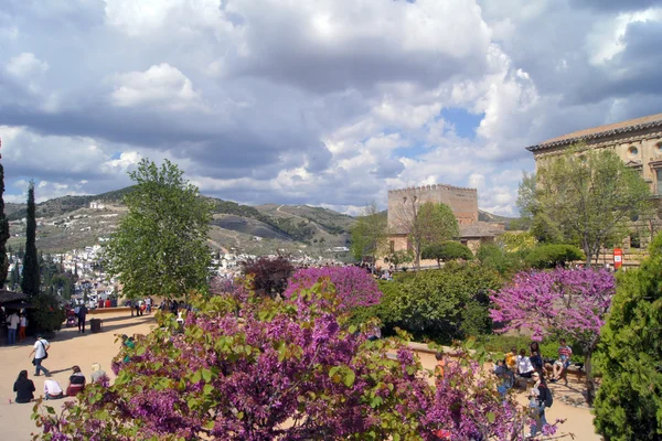 Alhambra türleri — Stok fotoğraf