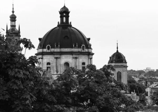 Ukrayna 'daki Lvivs çatıları 