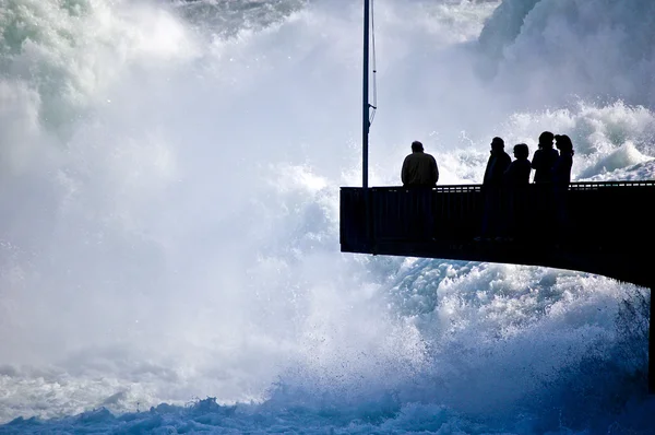şelale rhine falls, İsviçre