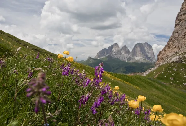Alp dolomiti, İtalya