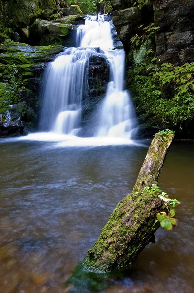 Waterfall — Stock Photo, Image