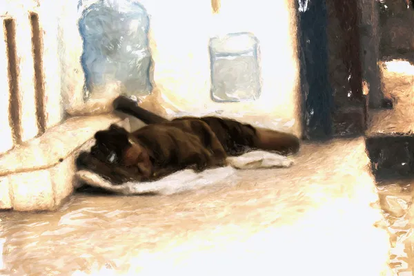 Pintado sin hogar negro chica duerme en la acera Imagen De Stock