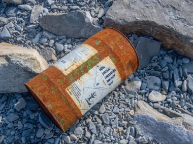 Deniz kıyısındaki paslı yağ varili. Çevre kirliliği