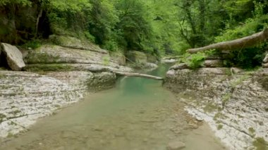 Islak kanyon Psakho 'da güzel bir nehir..