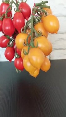 Fresh red and yellow cherry tomatoes on blue plate.