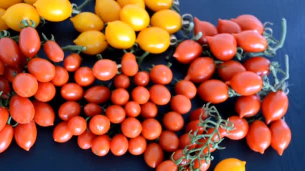Red Green Cherry Tomatoes Table Organic Farming — Stock Video