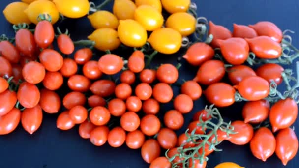 Red Green Cherry Tomatoes Table Organic Farming — Vídeo de stock